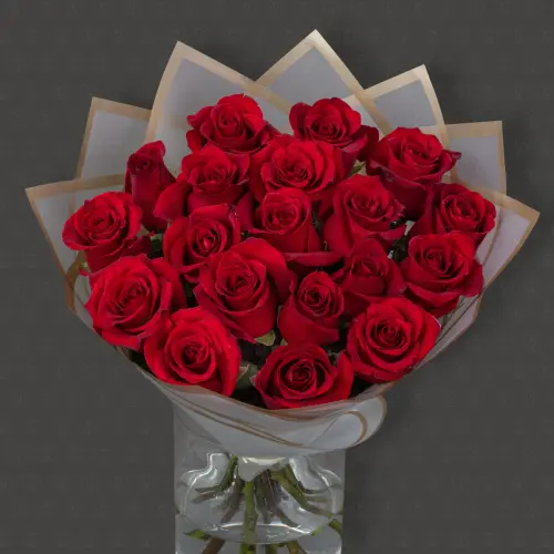 19 Роз Эквадор 50 см. "Бархат"