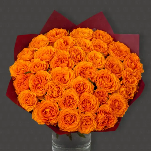 35 Роз Россия 50 см. "Огненная страсть"