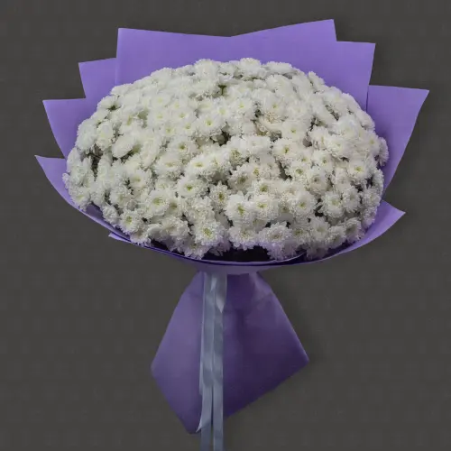 51 кустовая хризантема Гигант  "Хрустальный звон"