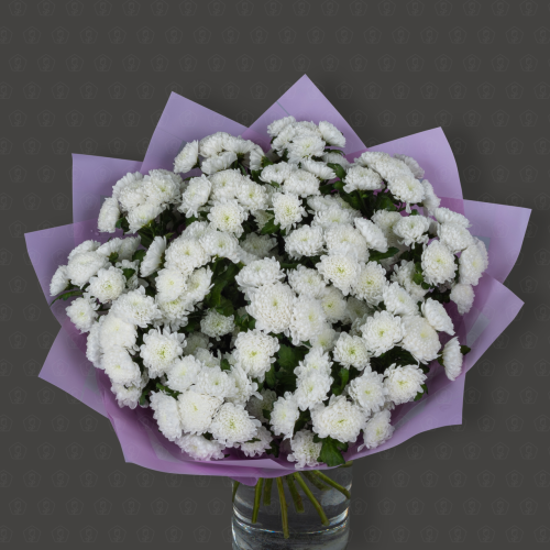 Акция! 15 хризантем Сантини Байкал с оформлением Премиум