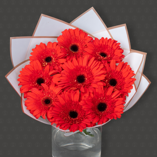 Акция! 9 Гербер Торо Росо с оформлением Премиум