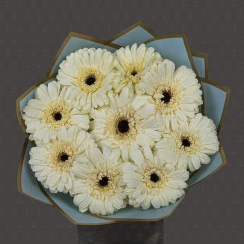 Акция! 9 Гербер Касабланка с оформлением Премиум