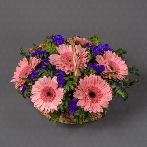 Комплимент