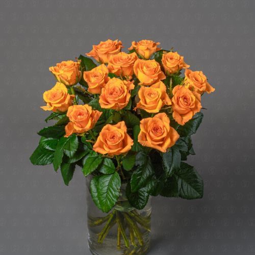 Роза Россия 50 см. (Белинда)