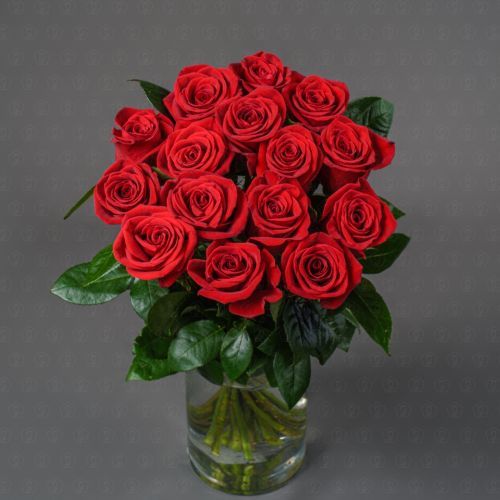 Роза Эквадор 50 см. (Фридом)